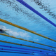 Katie Ledecky (Photo: Adam Pretty/Getty Images)